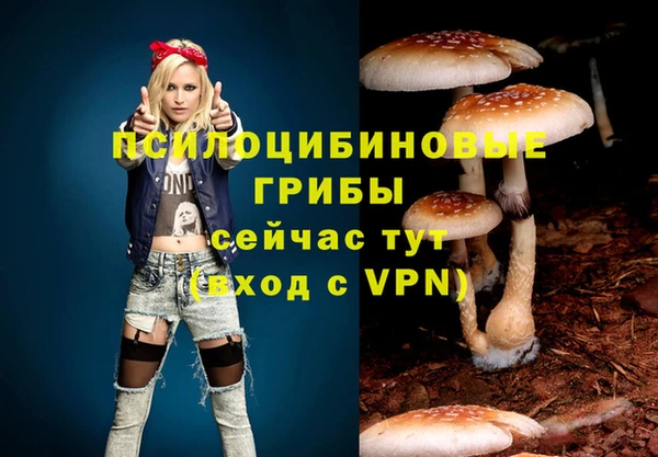 COCAINE Майский