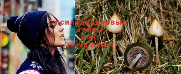 ешки Магадан