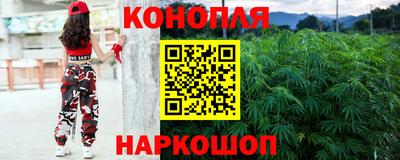 стафф Аргун