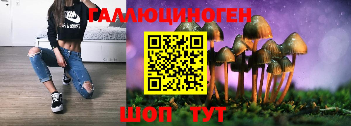 Галлюциногенные грибы Psilocybe Серпухов